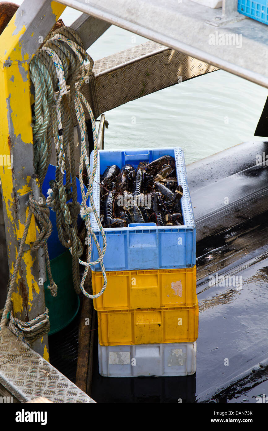 Barche da pesca con le aragoste e i granchi a Seahouses Northumberland, Inghilterra -2013 Foto Stock
