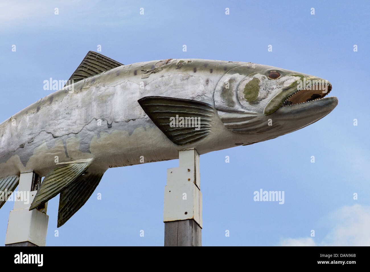 Enorme scultura di salmone per la terra di squali ristorante, Valdez, Alaska, STATI UNITI D'AMERICA Foto Stock