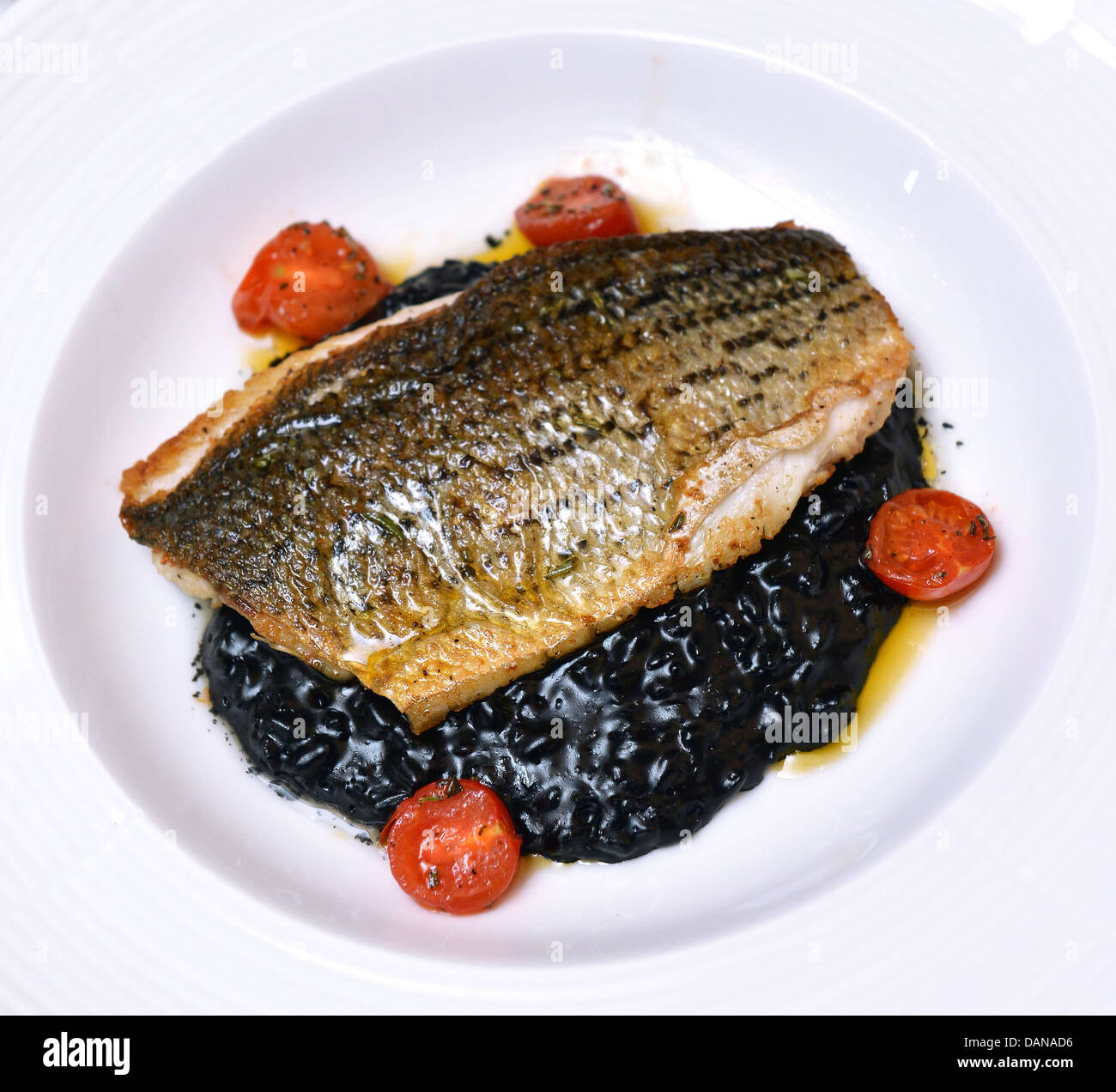 Spigola (black sea bass) servita con risotto al nero Foto Stock