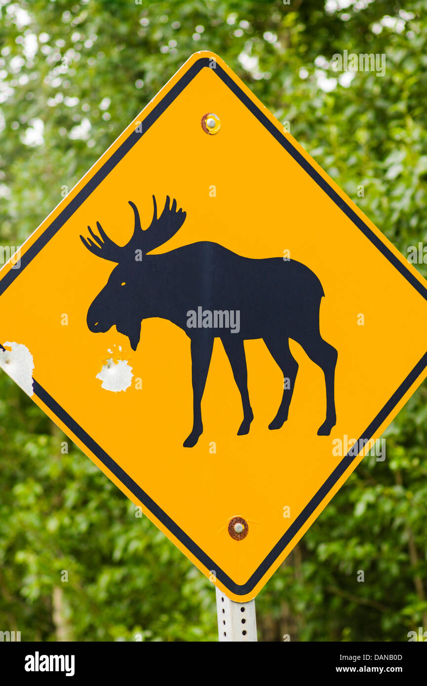 Attraversamento alci cartello stradale con fori di proiettile, Glen autostrada; Autostrada 1, Alaska, STATI UNITI D'AMERICA Foto Stock