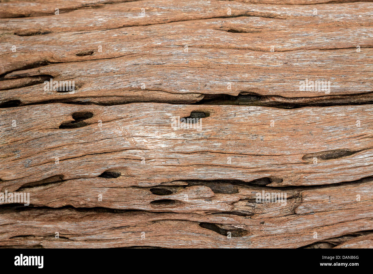 Priorità bassa di legno Foto Stock