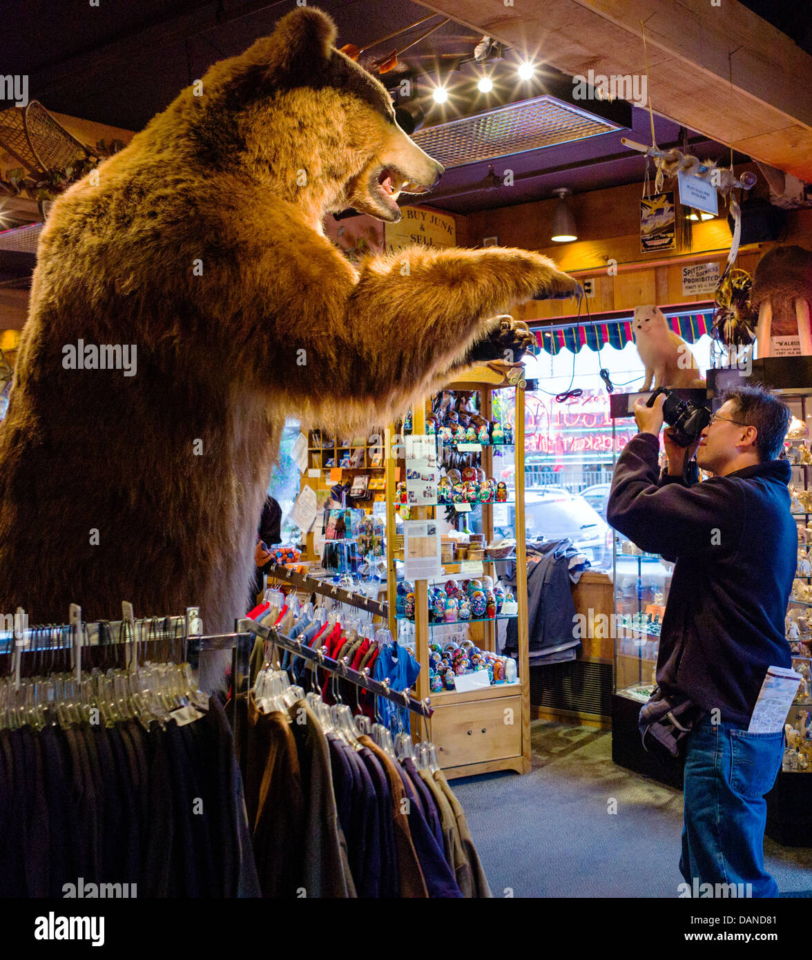 Fotografie turistiche un lifesize ripiene orso grizzly all'entrata di un negozio di souvenir, Anchorage, Alaska, STATI UNITI D'AMERICA Foto Stock Fotografie turistiche un lifesize ripiene orso grizzly all'entrata di un negozio di souvenir, Anchorage, Alaska, STATI UNITI D'AMERICA Foto Stock