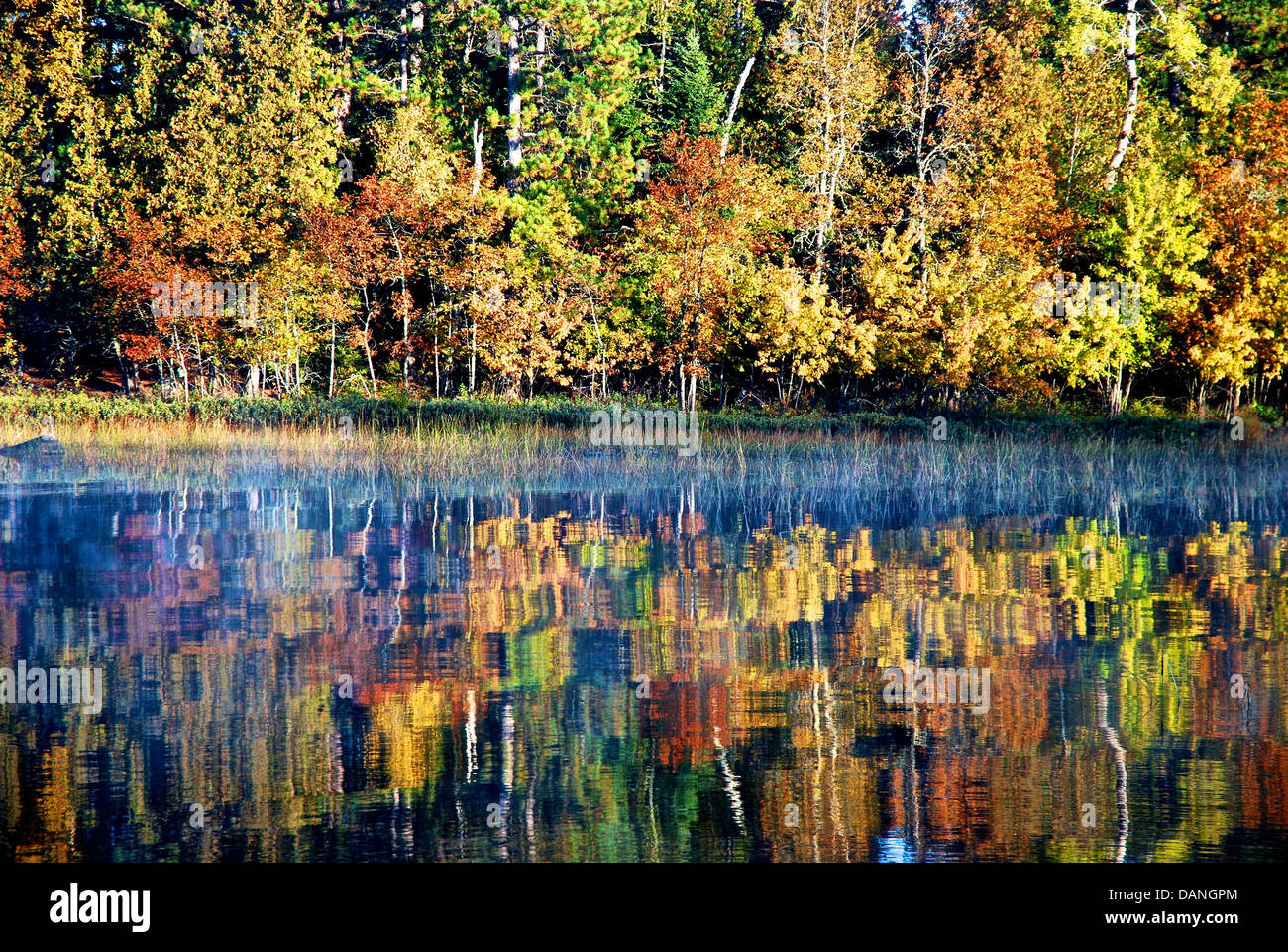 I colori autunnali riflettendo su di un lago calmo. Foto Stock