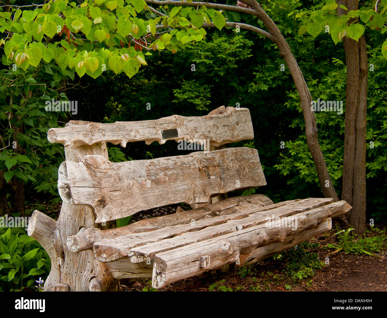 In legno rustico una panchina nel parco circondato da alberi in Impostazione del parco.USA Foto Stock