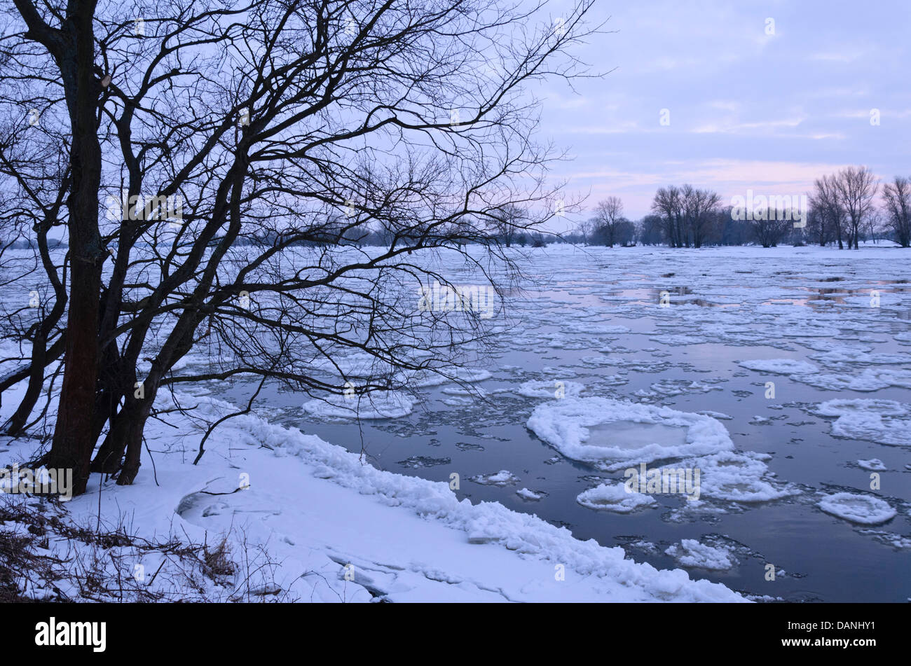 La deriva di ghiaccio sul fiume Elba, flusslandschaft elba riserva della biosfera, Germania Foto Stock