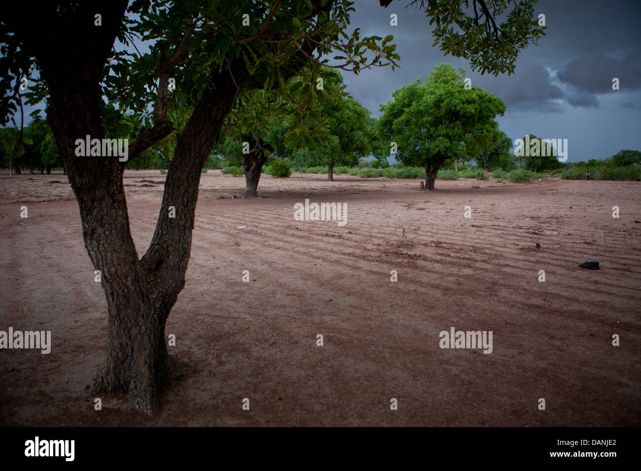 La stagione delle piogge nel Sahel, Burkina Faso. Foto Stock