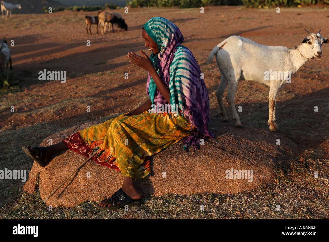 Capra somala herder dell'Etiopia orientale Foto Stock