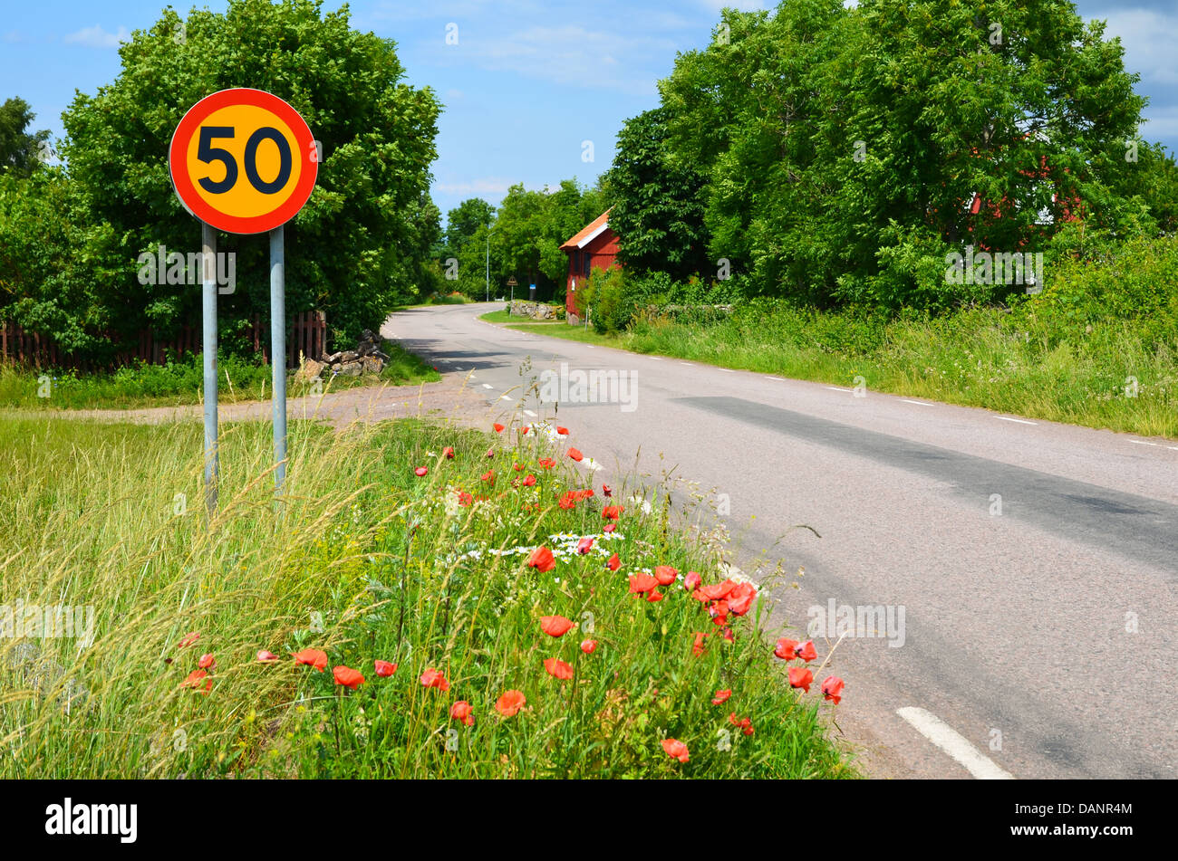 una strada tra i fiori