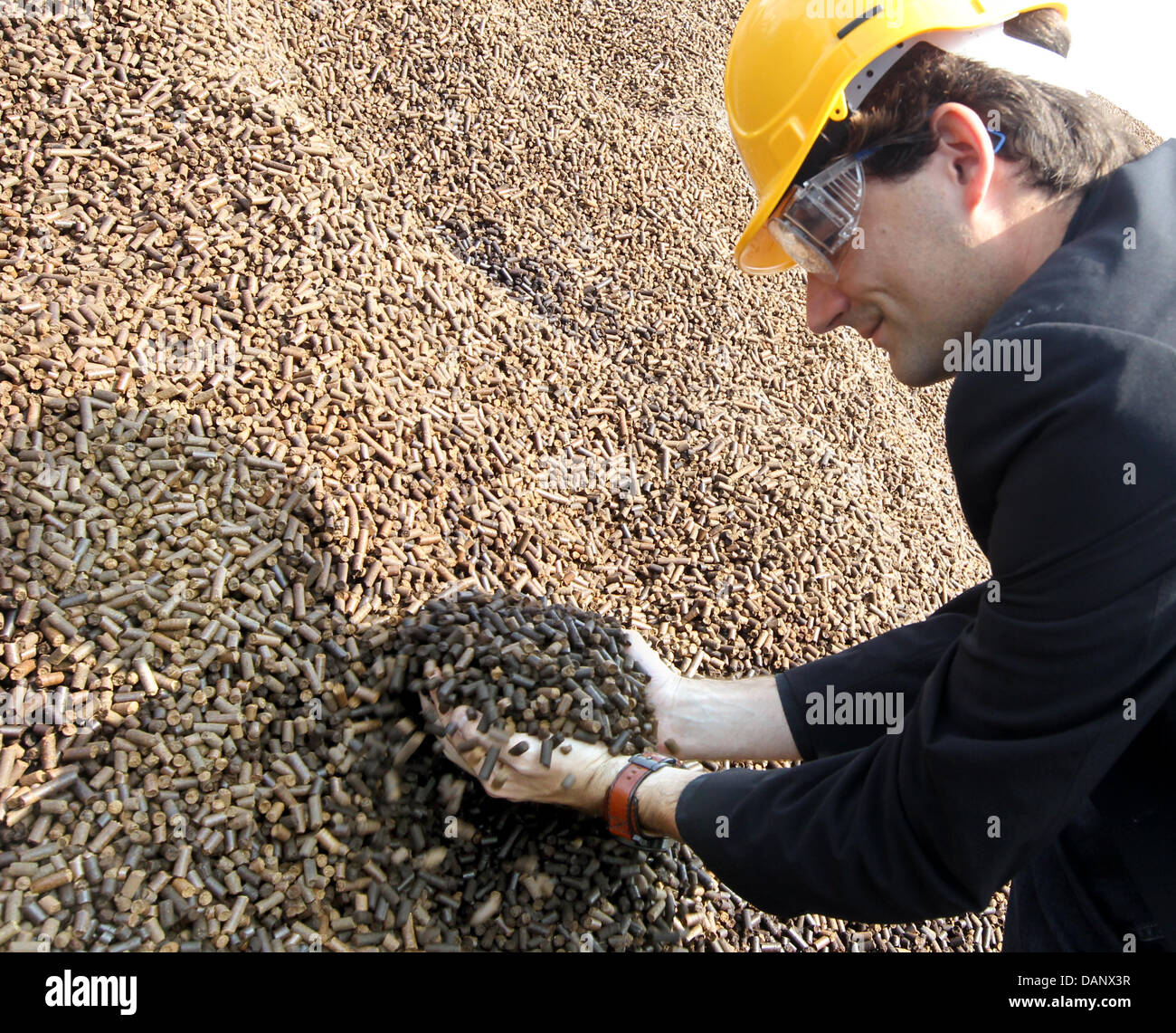 Un dipendente della società elettrica Vattenfall prende una manciata di raffinata pellet di legno dalla Scandinavia all'impianto cogenerazione Reuter ad ovest di Berlino, Germania, 11 luglio 2011. Vattenfall vuole utilizzare i materiali appositamente trattati per esso la biomassa la strategia di alimentazione nella capitale tedesca e secondo l'azienda, è il più grande tentativo di uso di legno come un combustibile su un industria Foto Stock