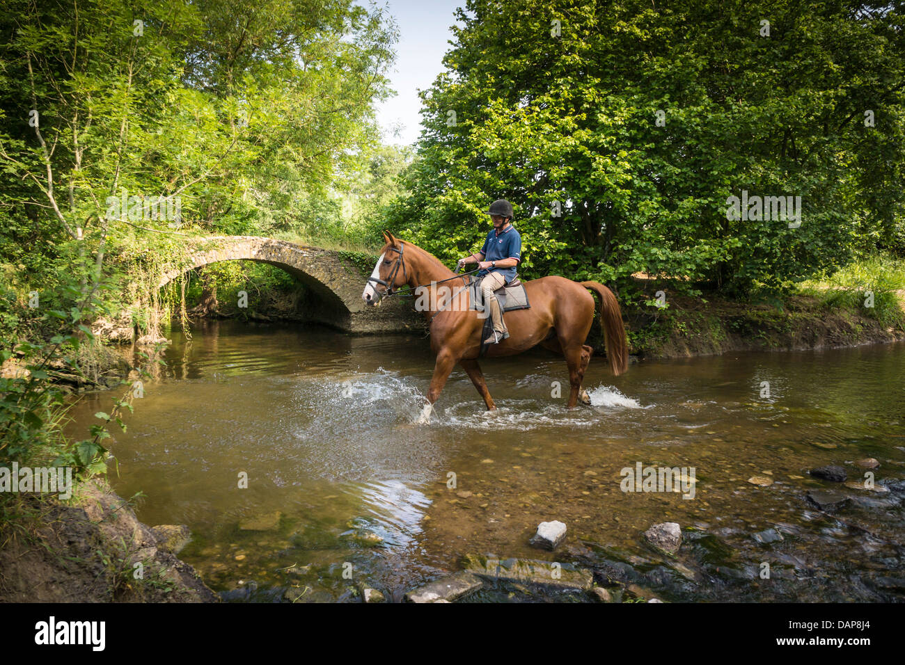 Un cavallo e cavaliere attraversare un piccolo ruscello su Fosse Way nel Wiltshire. Foto Stock