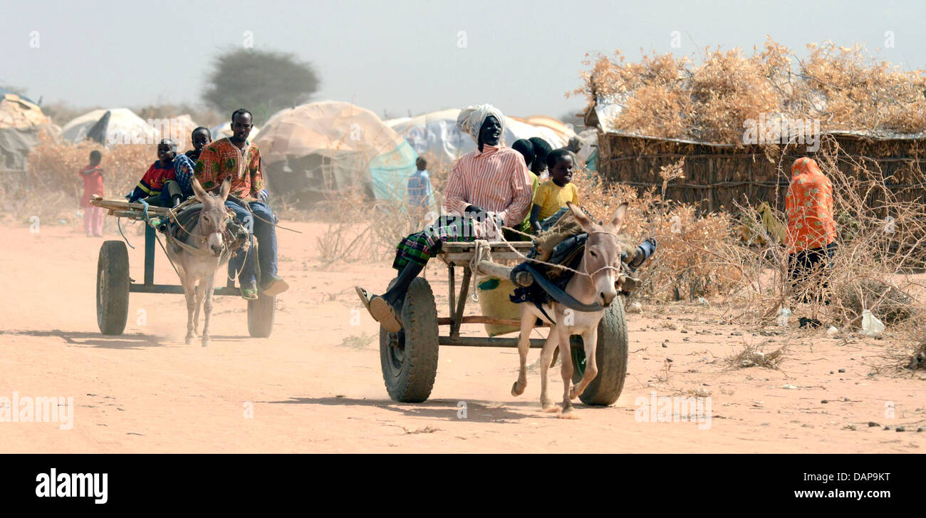 Gli uomini donkey ride carrozze a ritirare i loro prodotti alimentari del PAM in un campo di rifugiati di Dadaab, Kenya 4 agosto 2011. Somalia e parti del Kenya è stata colpita da una delle peggiori le bozze e carestie in sei decenni, più di 350 000 profughi hanno trovato rifugio in mondi più grande campo di rifugiati. Foto: Boris Roessler Foto Stock