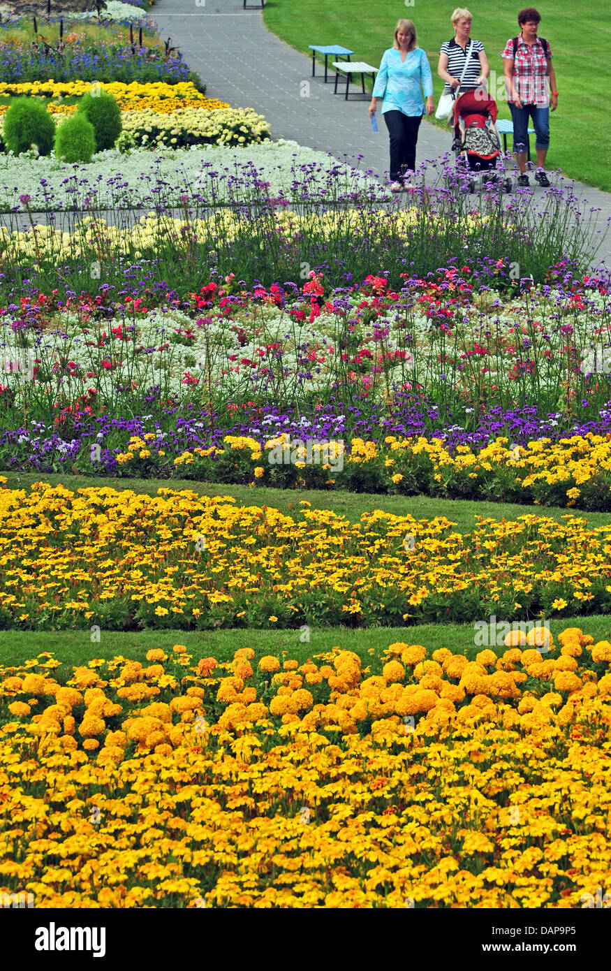 I visitatori cammineranno tra aiuole di fiori all'ega park a Erfurt, Germania, 4 agosto 2011. Il parco è uno dei più grandi ornamentally piantate aiuole in Europa. Vi è anche una rosa garde, un giardino giapponese e serre tropicali. Foto: Martin Schutt Foto Stock