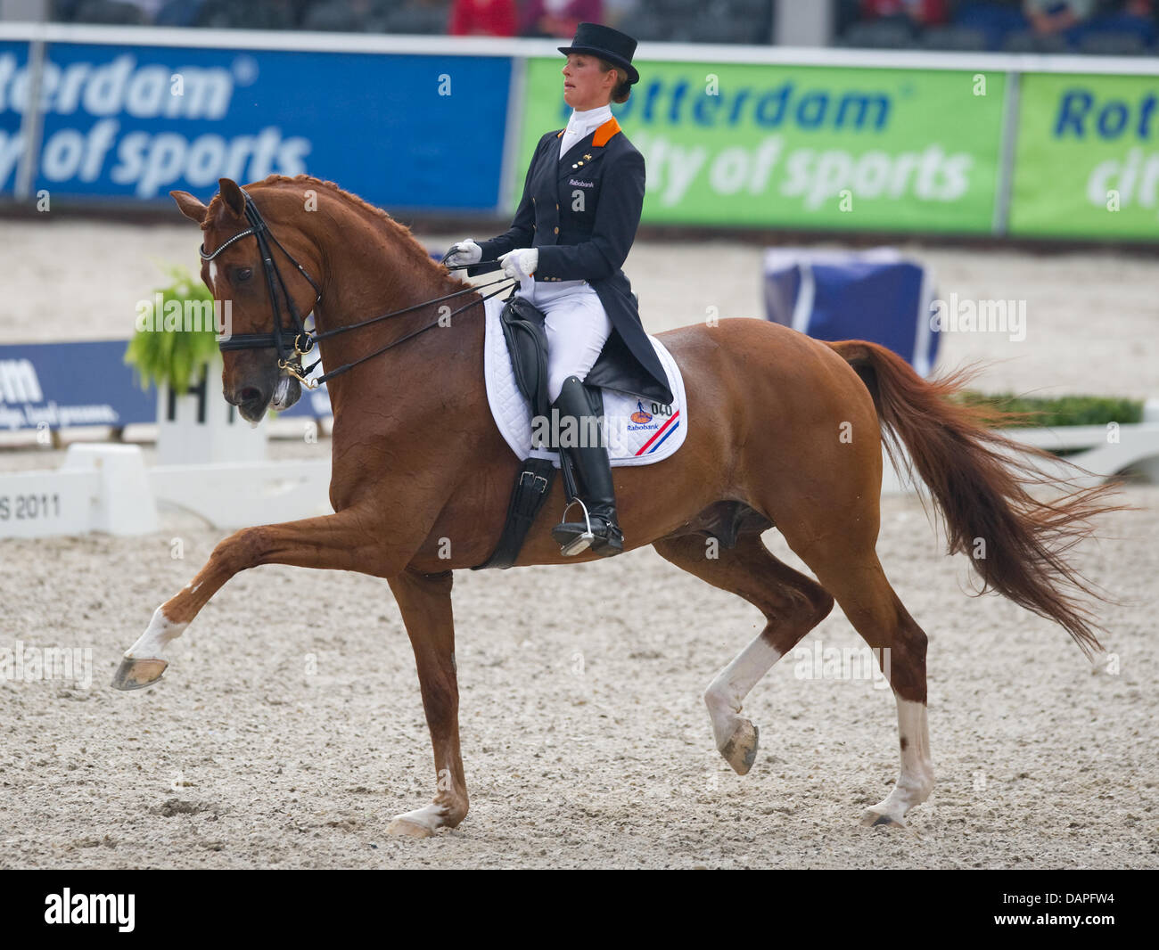 Die niederländische Dressurreiterin Adelinde Cornelissen reitet ihr Pferd Jerich Parzival am Donnerstag (18.08.2011) di Rotterdam während des Teamwettbewerbs bei den Europameisterschaften der Dressurreiter. Die Niederlande belegte den dritten Platz. Foto: Uwe Anspach dpa Foto Stock