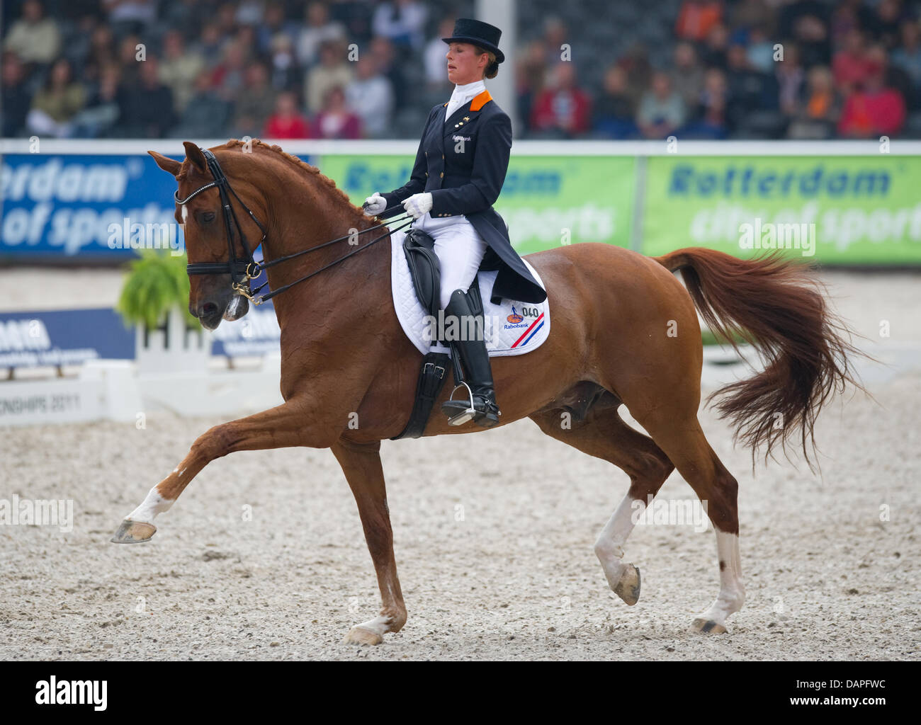 Die niederländische Dressurreiterin Adelinde Cornelissen reitet ihr Pferd Jerich Parzival am Donnerstag (18.08.2011) di Rotterdam während des Teamwettbewerbs bei den Europameisterschaften der Dressurreiter. Die Niederlande belegte den dritten Platz. Foto: Uwe Anspach dpa Foto Stock