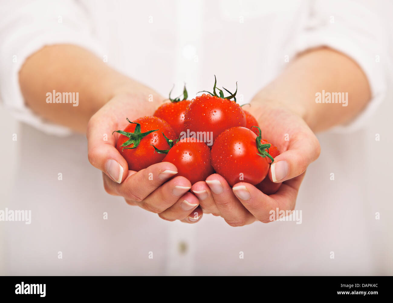La femmina entrambe le mani tenendo i pomodori freschi Foto Stock