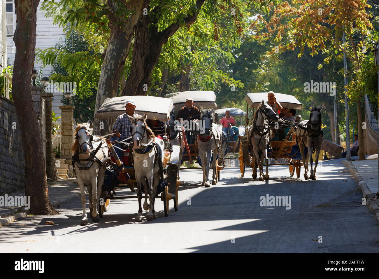 Turchia, Istanbul, turistici che viaggiano in carrozze trainate da cavalli a Buyukada Foto Stock