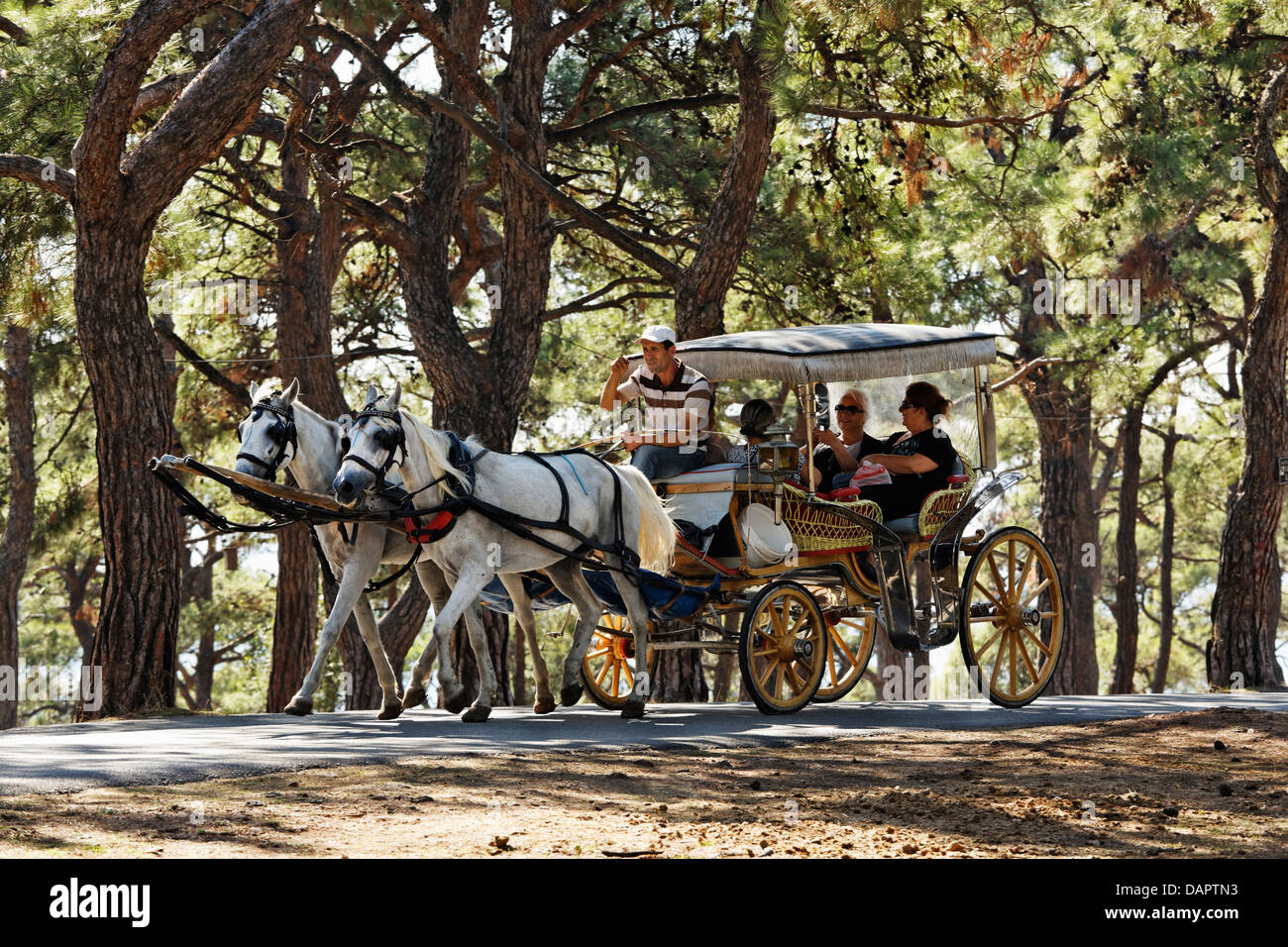 Turchia, Istanbul, turistici che viaggiano in carrozze trainate da cavalli a Buyukada Foto Stock