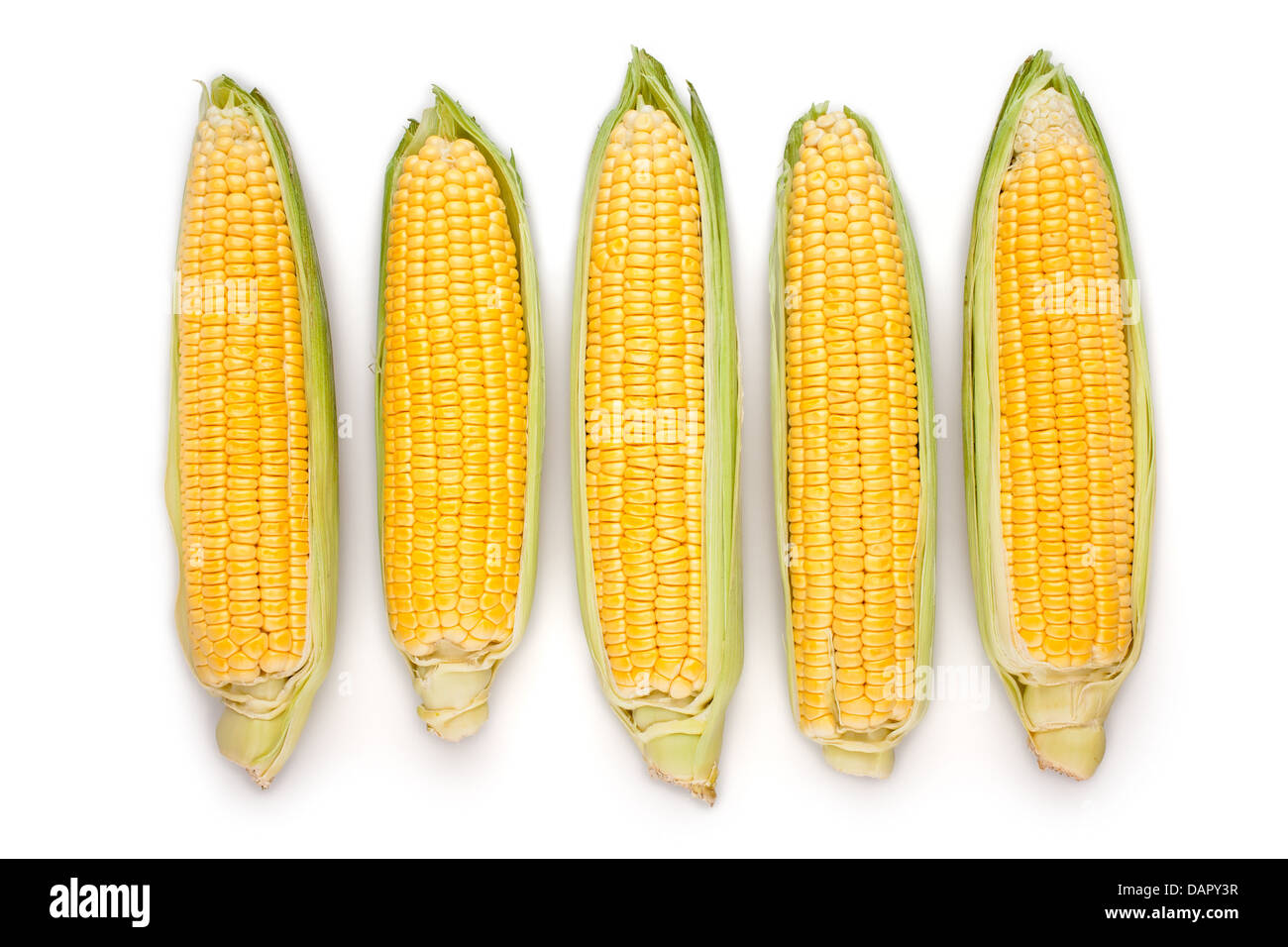 Orecchio mais gruppo su sfondo bianco Foto Stock