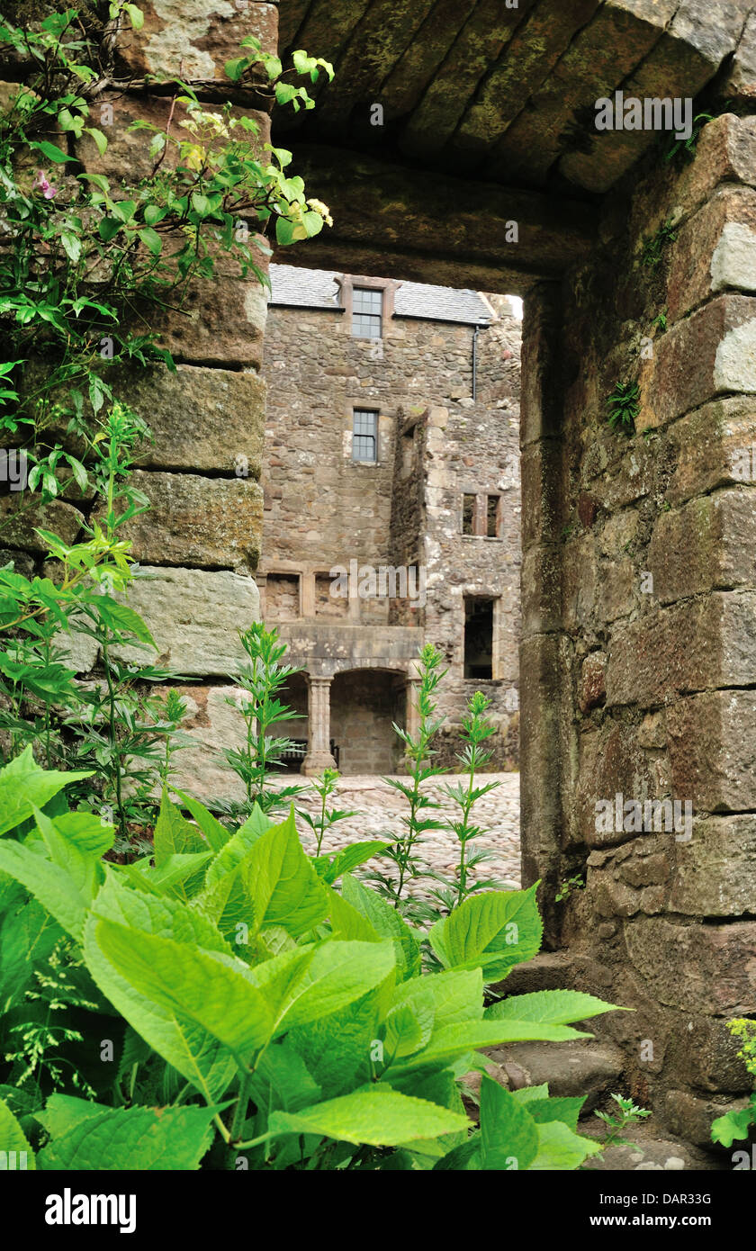 Guardando attraverso una porta nel cortile del castello di Campbell, Dollar Glen, Clackmannanshire, Scozia Foto Stock