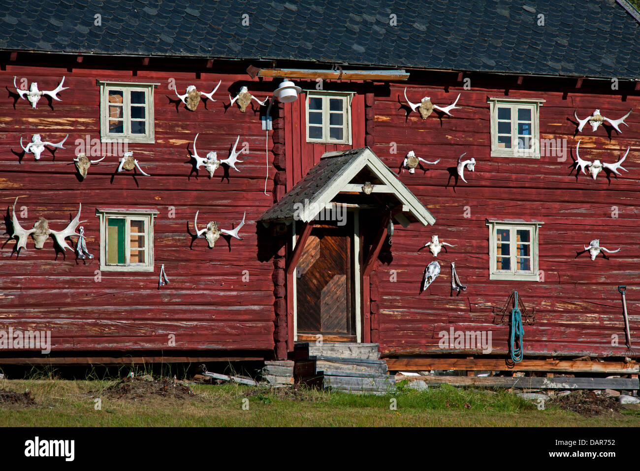 Rosso cabina in legno decorate con corna di Alce (Alces alces), i trofei di caccia del cacciatore, Rondane National Park, Dovre, Norvegia Foto Stock