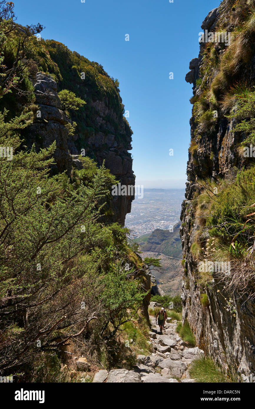 Sentiero escursionistico in Table Mountain National Park, violazione al vertice di Table Mountain e Cape Town, Western Cape, Sud Africa Foto Stock