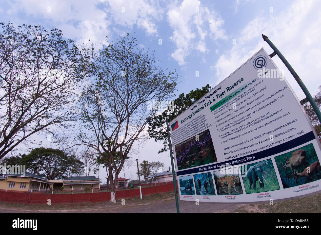 Cobra reale pubblicità su information board Foto Stock