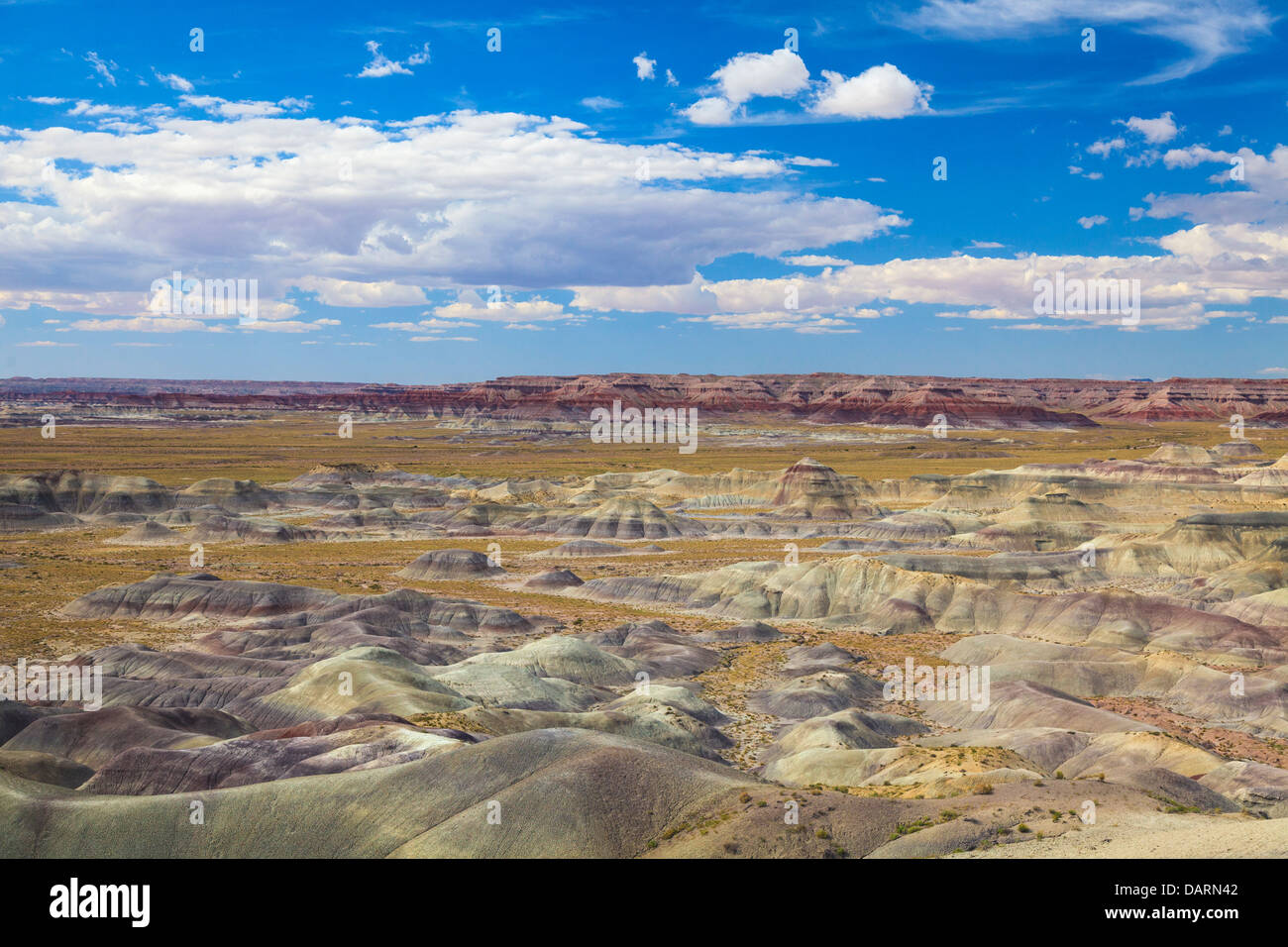 Stati Uniti d'America, Arizona, Holbrook, Parco Nazionale della Foresta Pietrificata, Badlands Foto Stock