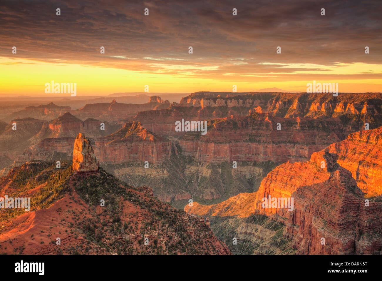 Stati Uniti d'America, Arizona Grand Canyon National Park, North Rim, punto Imperial Foto Stock