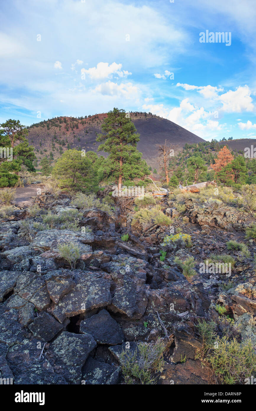 Stati Uniti d'America, Arizona Flagstaff, Sunset Crater National Monument, Coni di scorie e paesaggio vulcanico Foto Stock