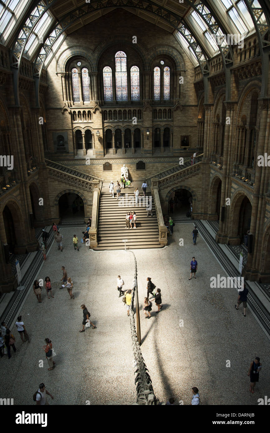 All'interno del Museo di Storia Naturale di Londra, Inghilterra, Regno Unito, GB Foto Stock