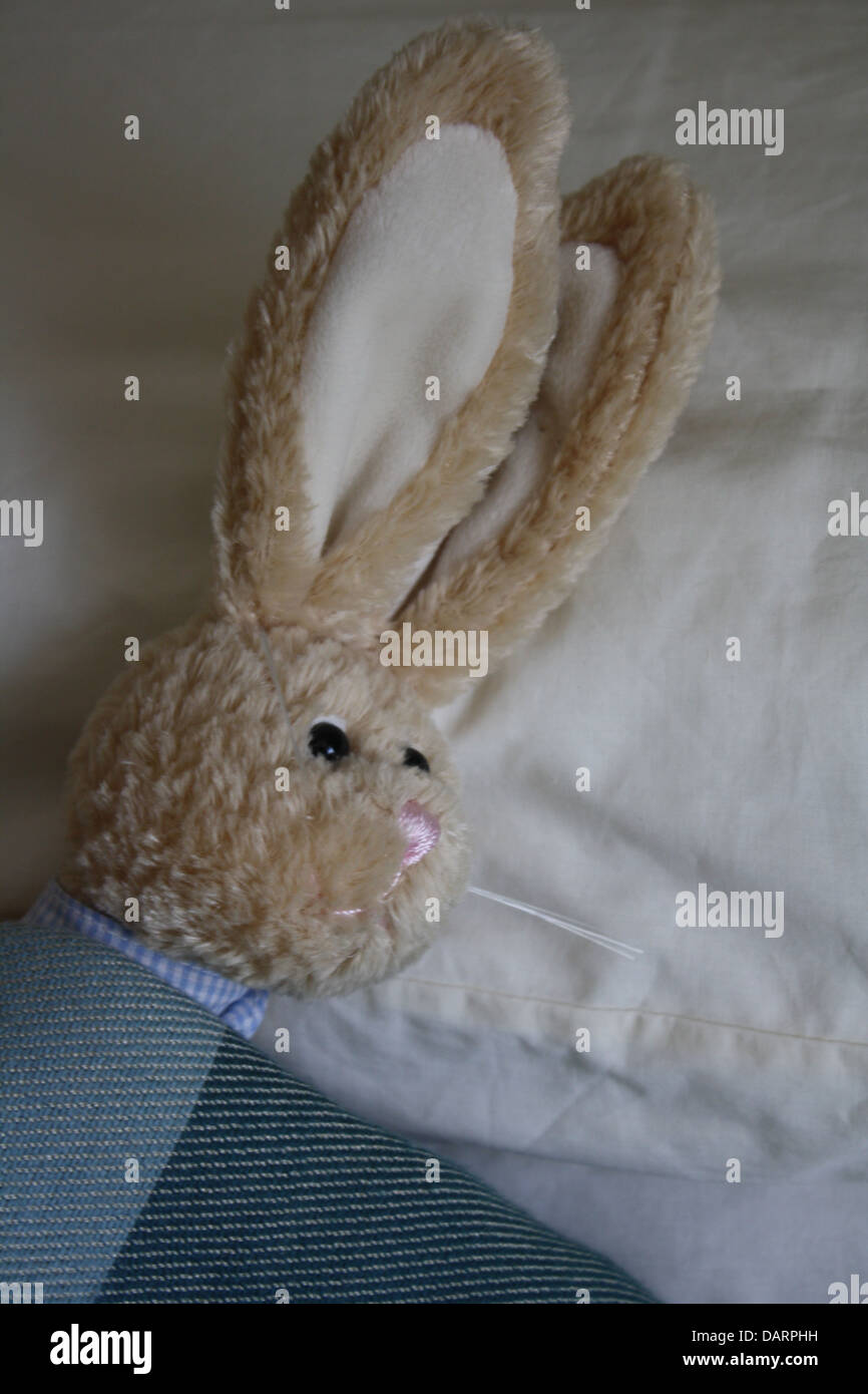 Coniglio giocattolo a lungo orecchie rimboccato nel letto con solo testa e orecchie mostrate. Foto Stock