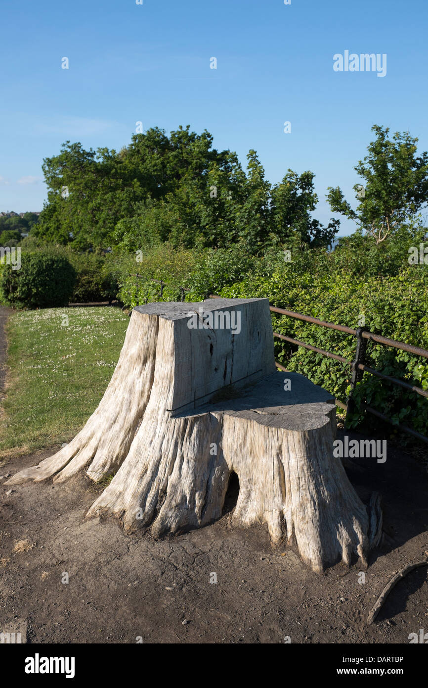 Trunk ad albero tagliato a forma di sedile Penarth Soputh Galles Foto Stock