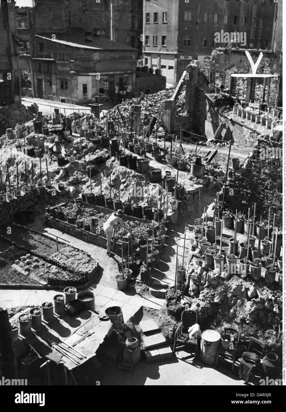 Eventi, era post guerra, economia, vivaio tra le rovine, Neue Kräme, Francoforte sul meno, 1947, diritti aggiuntivi-clearences-non disponibile Foto Stock