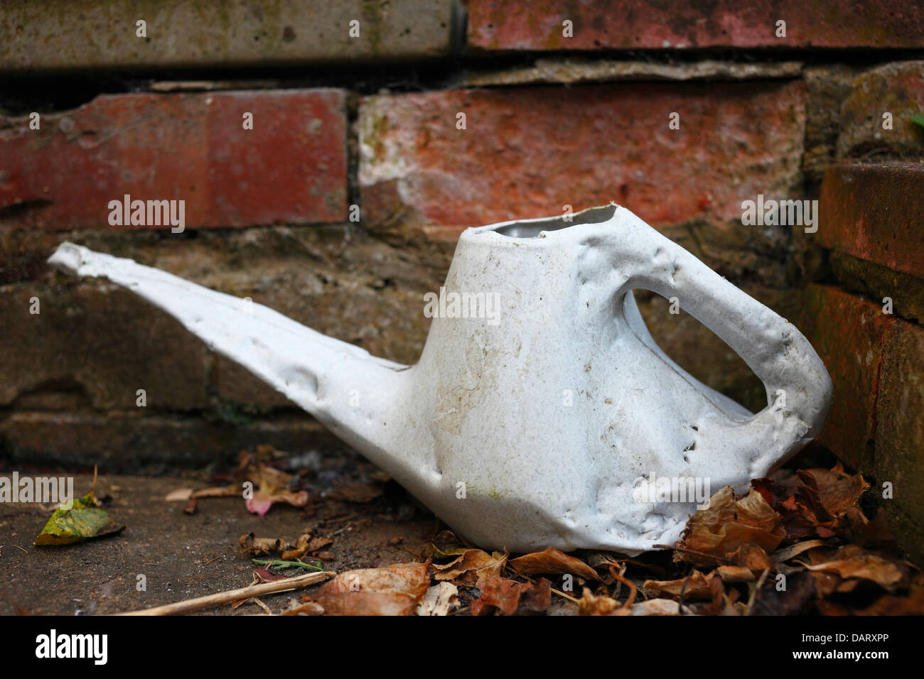 Annaffiatoio in plastica lasciato da un giardino a parete, masticati da un cane da compagnia. Foto Stock