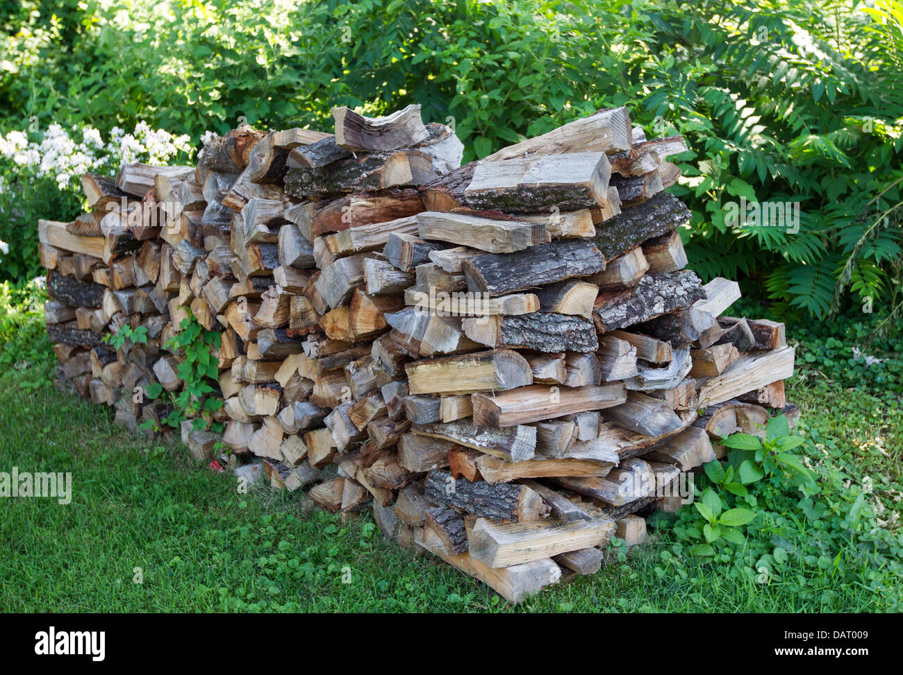 Un mucchio di legna da ardere Foto Stock