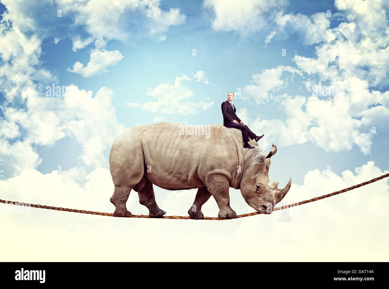 Imprenditore ride rhino sulla fune Foto Stock