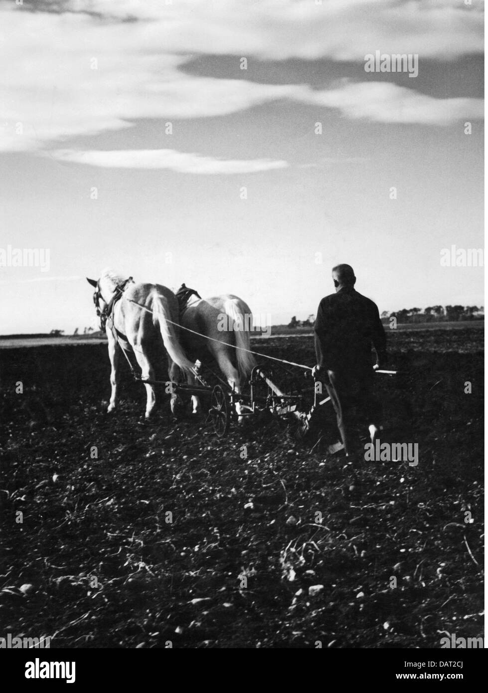 Agricoltura, lavoro agricolo, aratura, agricoltore con un aratro trainato da cavalli, anni 50, diritti aggiuntivi-clearences-non disponibile Foto Stock