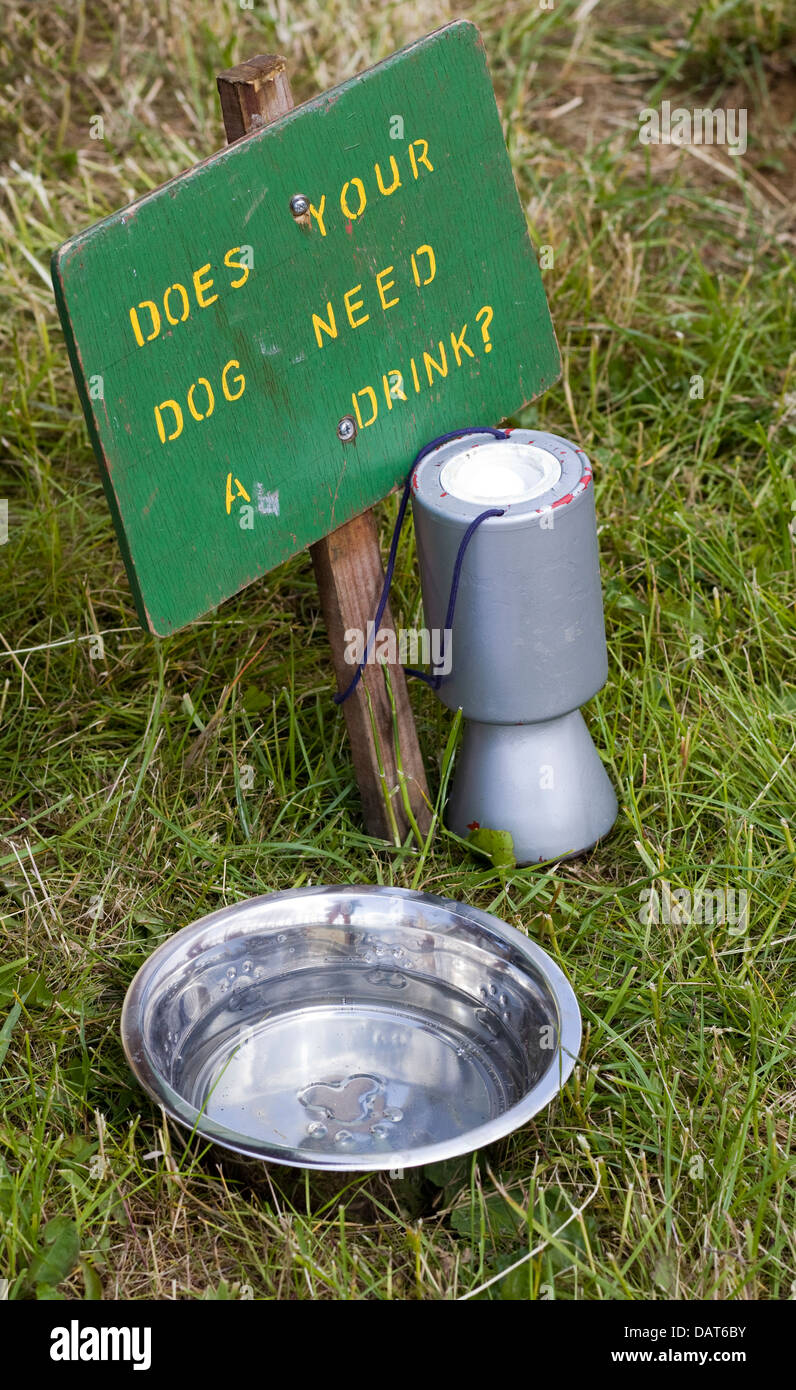 Ciotola e cassetta di raccolta con segno dicendo il vostro cane ha bisogno di un drink Foto Stock