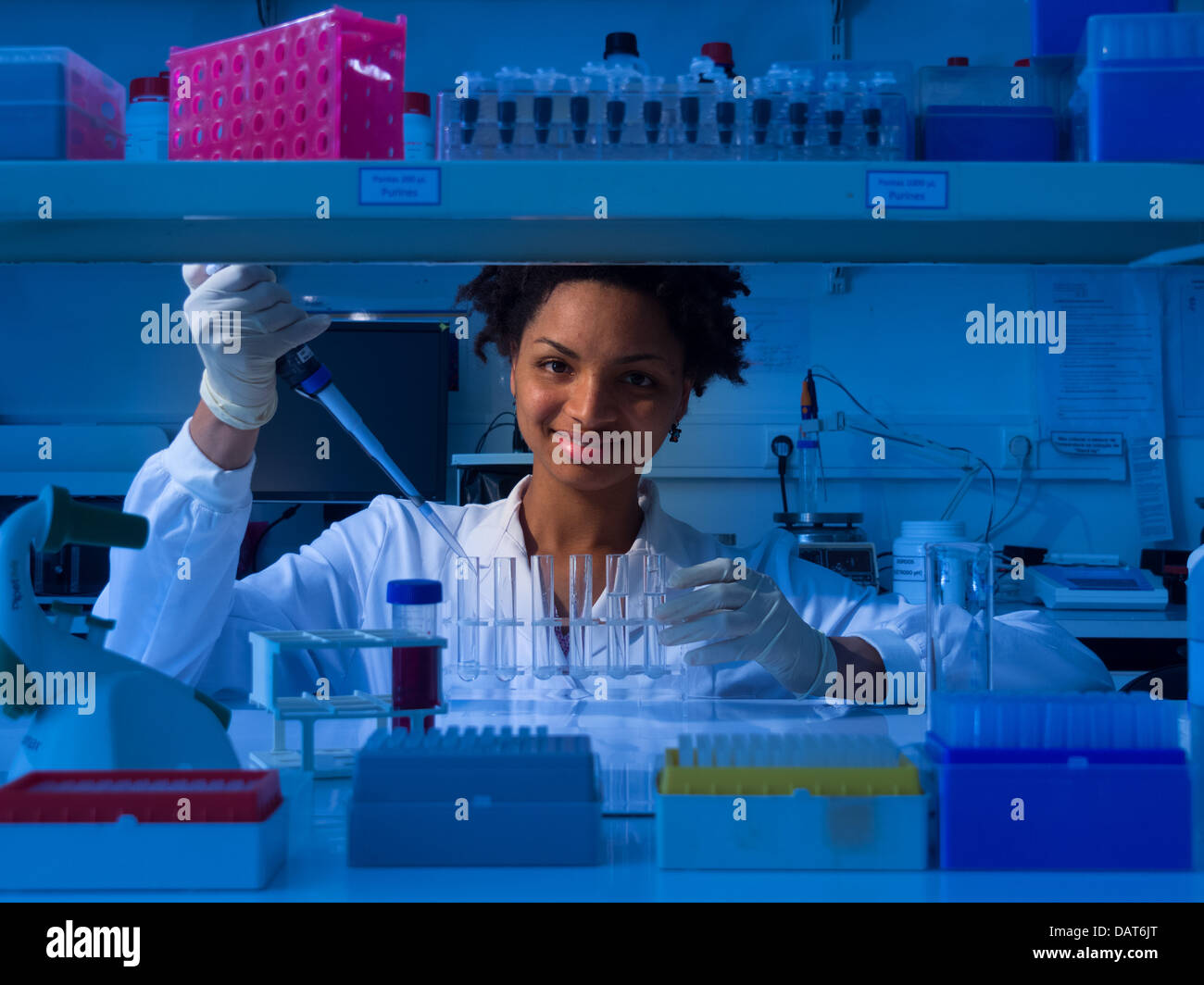 Scienziato che lavora in laboratorio Foto Stock