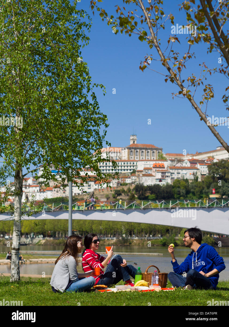 I giovani che hanno un picnic a Coimbra, Portogallo, Europa Foto Stock