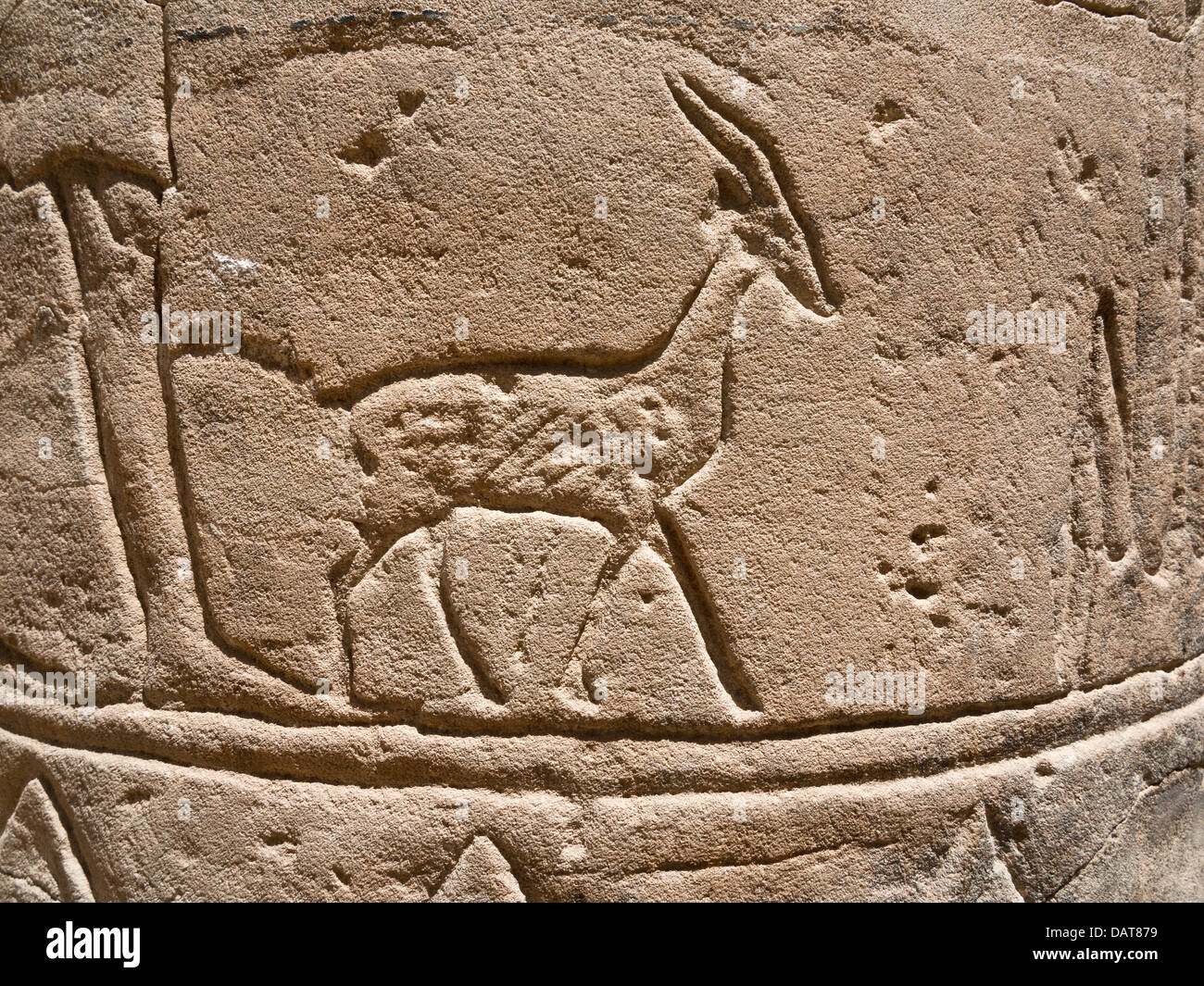 Intaglio di piccola antilope su una colonna nel tempio di Iside a Philae, Aglika Island Aswan Alto Egitto Foto Stock
