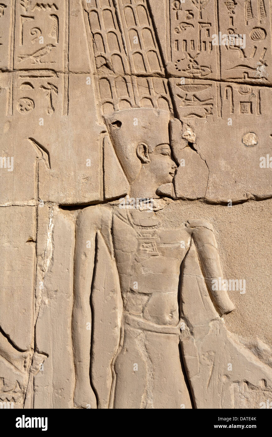 Close up di rilievi presso il Tempio di Amon a Karnak e Luxor Egitto Foto Stock