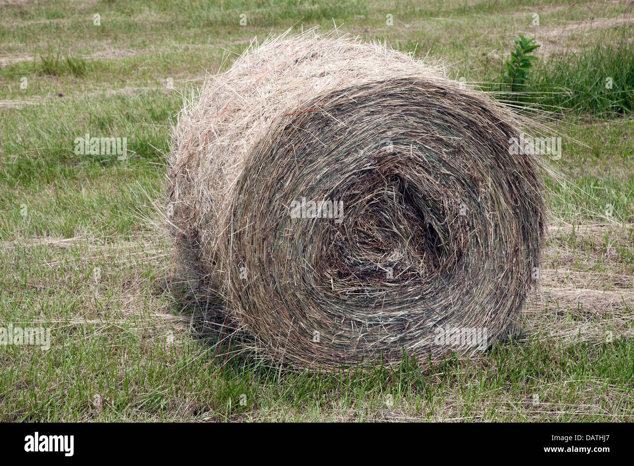 Laminati balle di fieno USA orientale Foto Stock