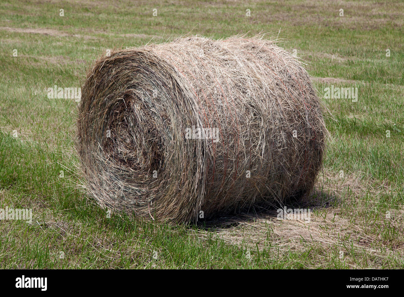 Laminati balle di fieno USA orientale Foto Stock