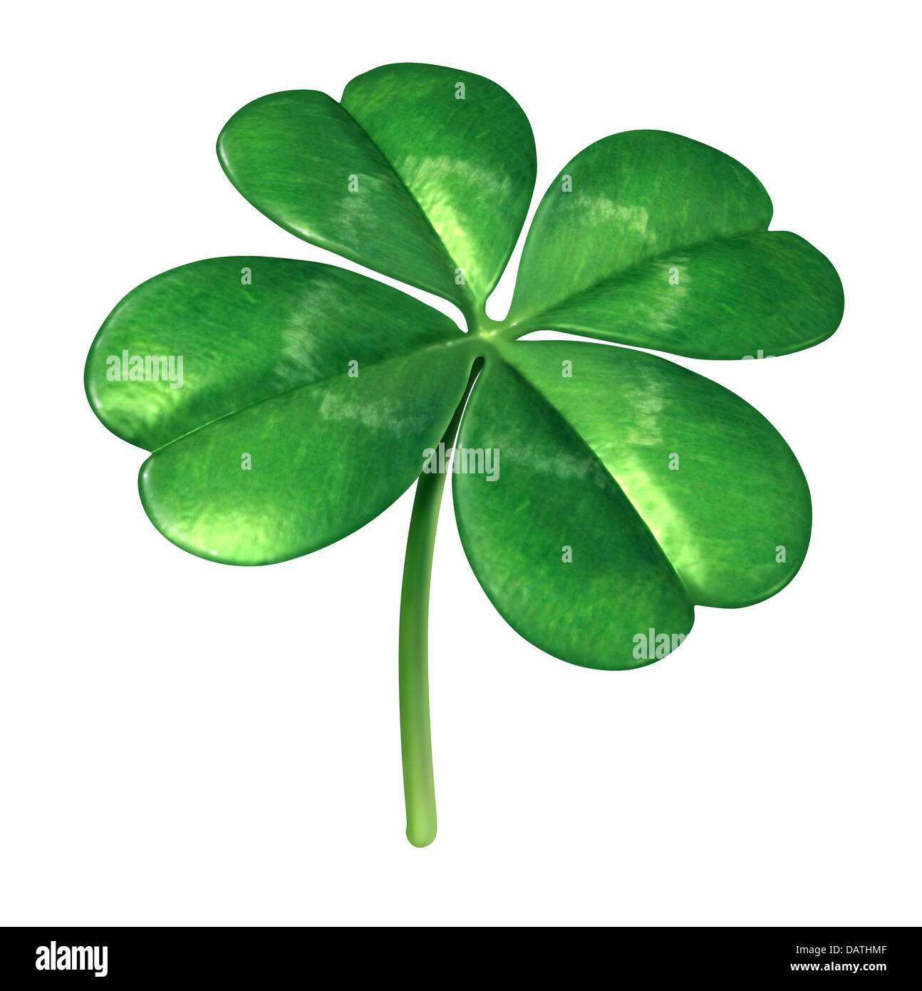 Quattro leaf clover impianto come un simbolo irlandese per un verde di fascino fortunato icona della buona sorte e la fortuna come un opportunità per il successo isolato su uno sfondo bianco. Foto Stock