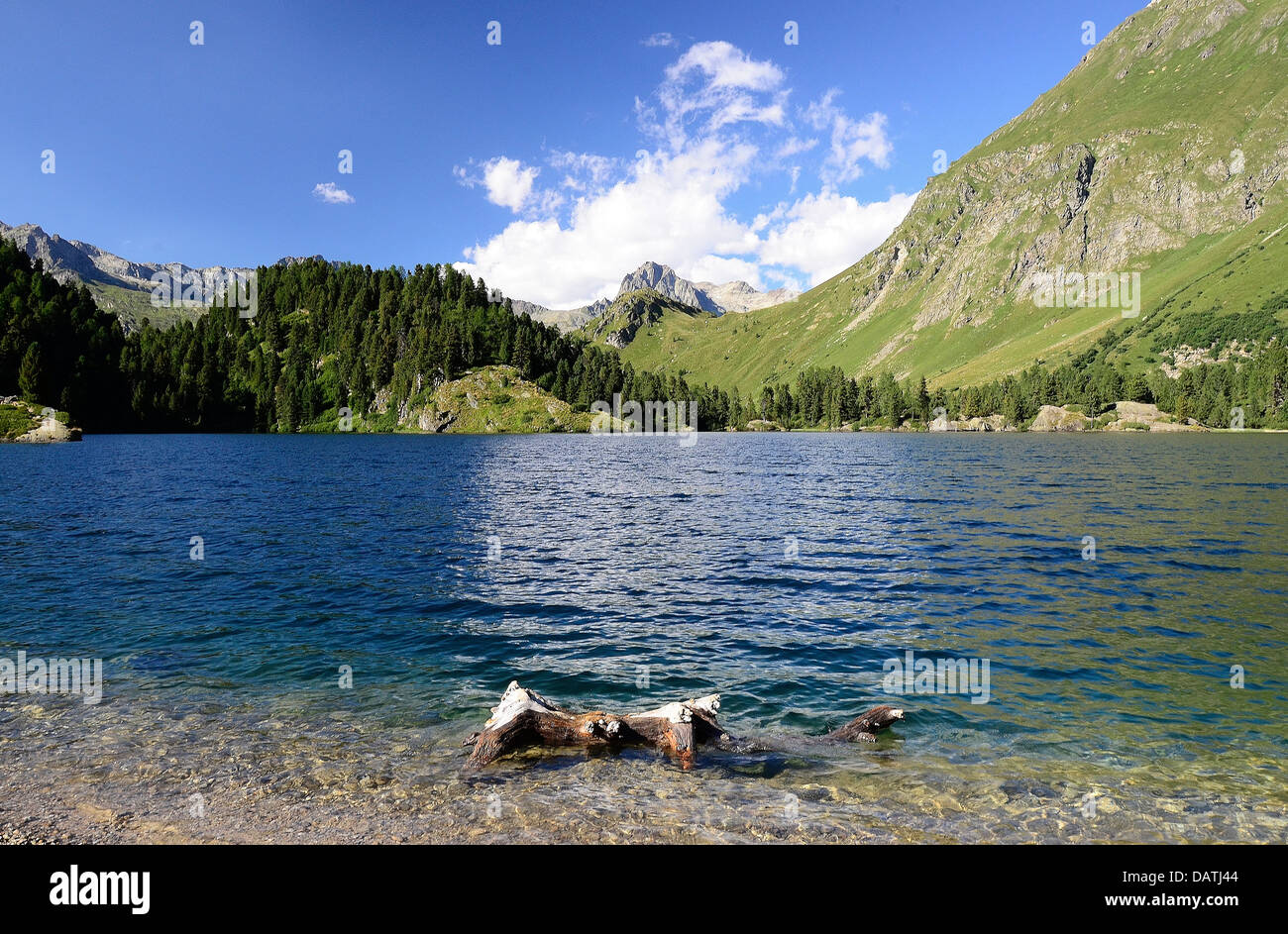 È molto worthwile a camminare da Maloja a il lago Cavloc come essa vi offre viste meravigliose! Foto Stock