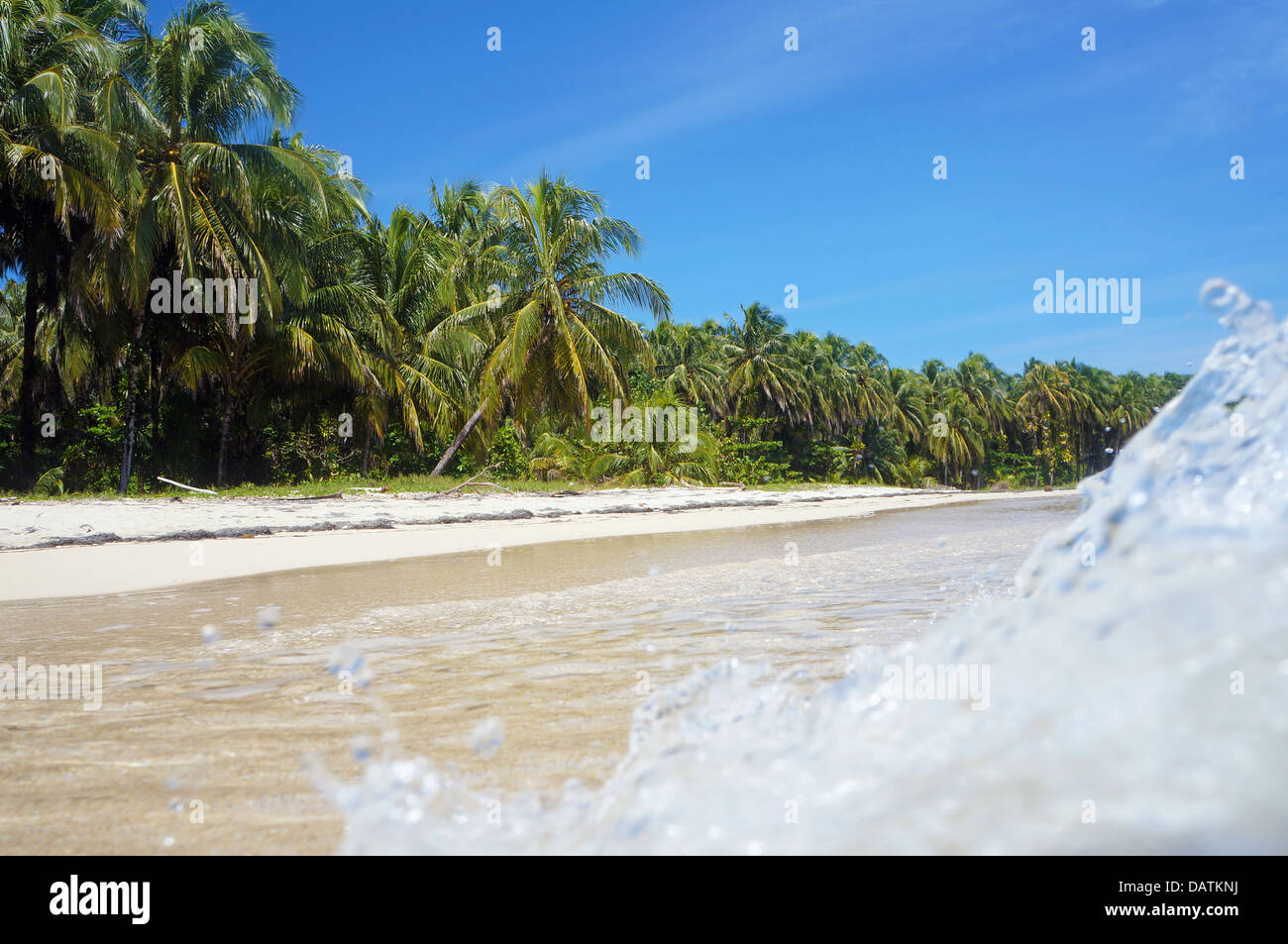 Ondata di schiantarsi su di una spiaggia di sabbia con splendida vegetazione tropicale Foto Stock