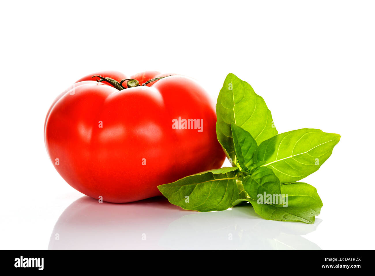 Pomodoro e Basilico su sfondo bianco Foto Stock
