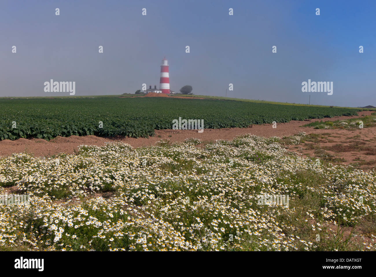 Casa di luce a Happisburgh Norfolk e il mare di nebbia in laminazione Foto Stock