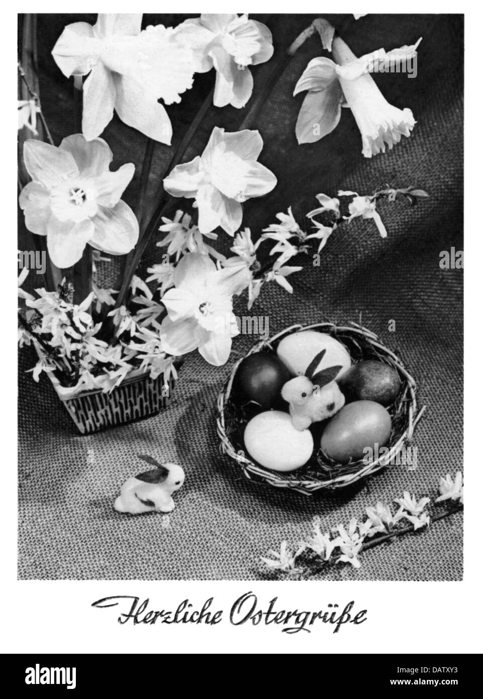 Pasqua, 'Herzliche Ostergrüsse' (saluti di Pasqua più caldi), cesto di Pasqua e narcisi, cartolina fotografica, anni '50, diritti aggiuntivi-clearences-non disponibile Foto Stock